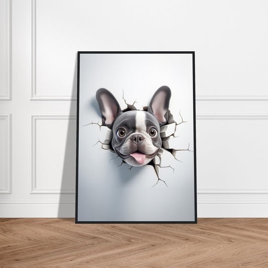Plakat med træramme - French Bulldog Peekaboo 